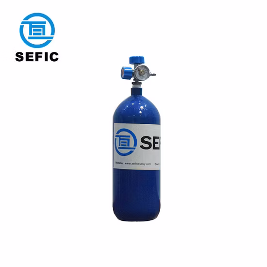 Stainless Steel P&ge; 100.0MPa Sefic Carton Packing Autoclave for Drying Wood Cylinder